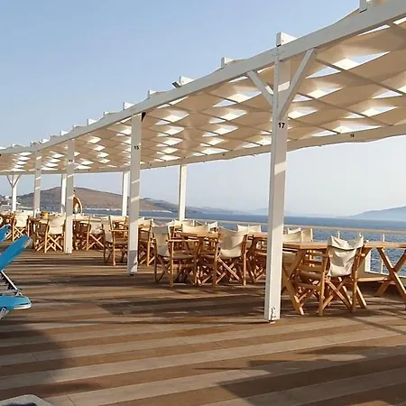 Appartamento First Line Sea View Studio *